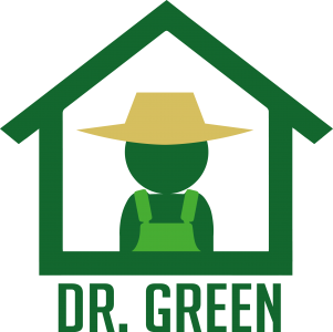 Dr. Green GR300 300x300x215cm / 240cm