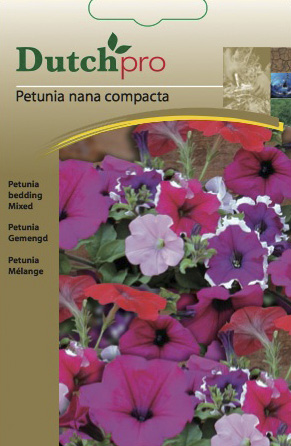 Petunia gemengd