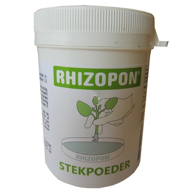 Rhizopon stekpoeder Chryzotop 0.25% 