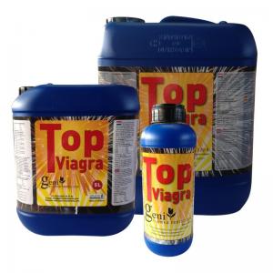 Geni Top Viagra PK-Booster