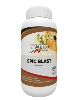 Hy-pro Coco Epic Blast - 500ml