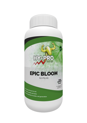Hy-pro Terra Epic Bloom - 250ml