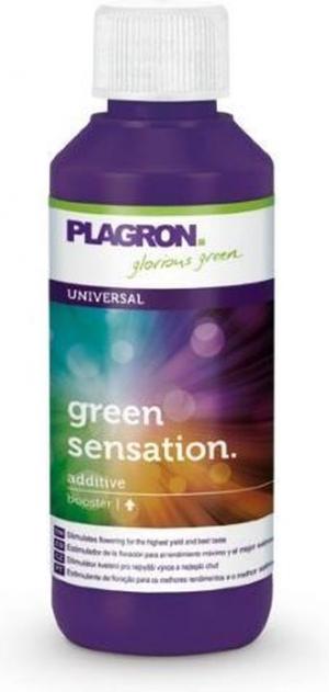 Plagron Green Sensation - 100ml